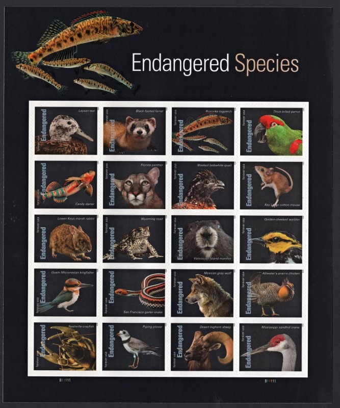 SC#5799 (Forever) Endangered Species Sheet of Twenty (2023) SA