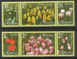 Romania 2006 Tulip Flower Plant Sc 4812-17 6v MNH # 2296