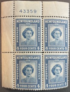 Newfoundland # 269 MNH Plate Block