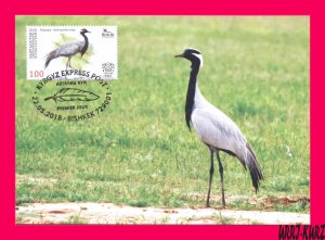 KYRGYZSTAN 2018 Nature Fauna Bird Crane Mi KEP 96 Maxicard Maximum Card