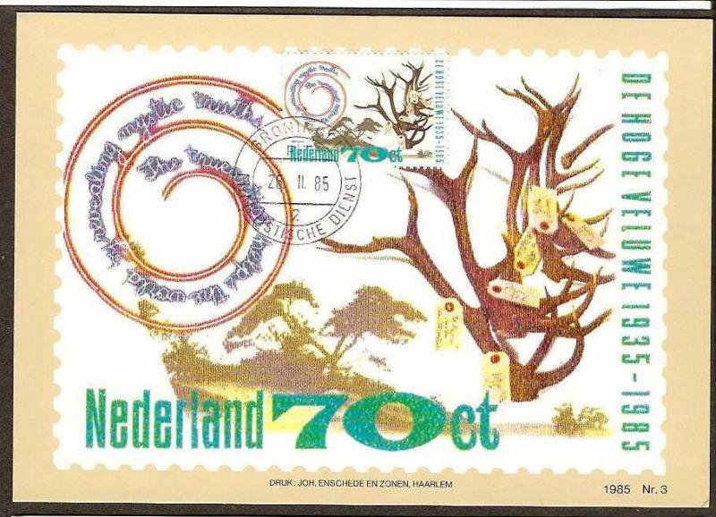 NETHERLAND 1985 TOURISM, CUTTLERY, TREE SET OF 2 MAXIMUM CARDS # 7849