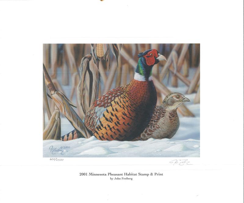 MINNESOTA #19U 2001 STATE PHEASANT  STAMP PRINT Scot Storm