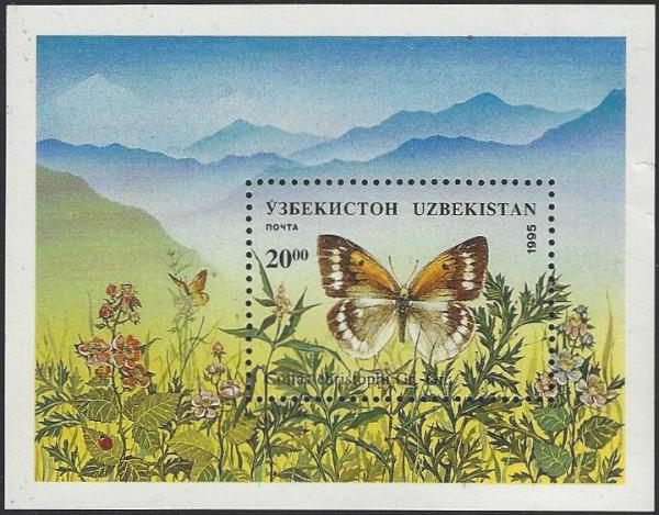 Uzbekistan #87 MNH Souvenir Sheet Butterfly