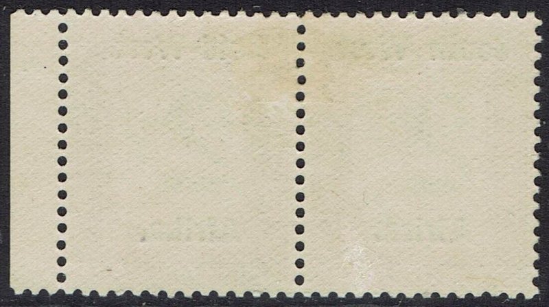 SOUTH WEST AFRICA 1923 POSTAGE DUE 2D PAIR SETTING I  