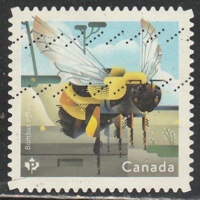 Canada   3099   (O)    2018