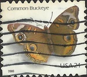 # 4001 USED COMMON BUCKEYE BUTTERFLY