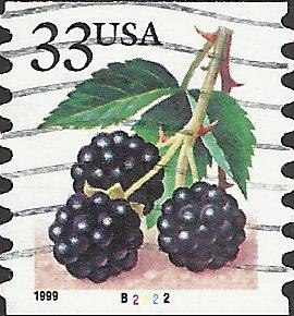 P.N.C. B2222 # 3304 USED BLACKBERRIES