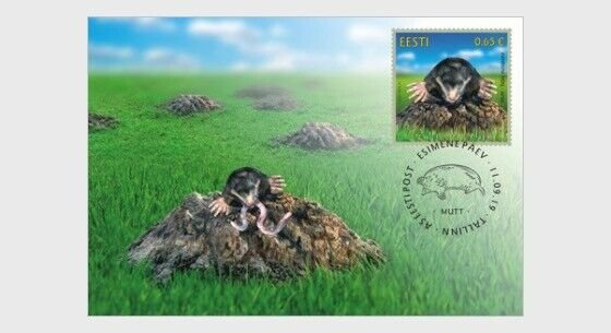 H01 Estonia 2019 Estonian Fauna – The Mole  Maxi Cards