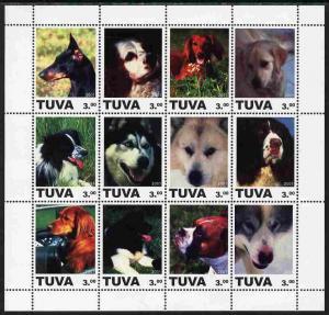 TUVA SHEET DOGS