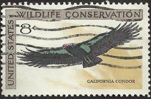 # 1430 USED CALIFORNIA CONDOR