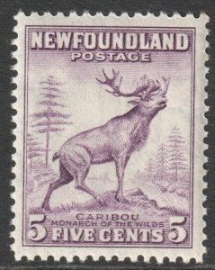 Canada Newfoundland Scott 257 - SG280, 1941 Pictorial 5c MH*