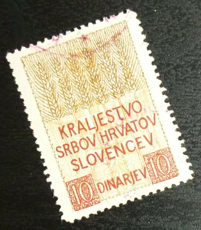 Yugoslavia c1930 Slovenia Croatia Revenue Stamp - 10 Dinarjev A6 