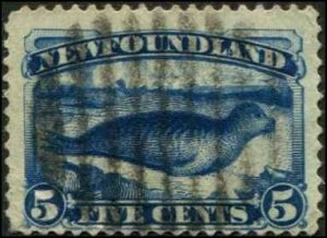 Canada - Newfoundland SC# 54 Harp Seal 5c Used Dark Blue