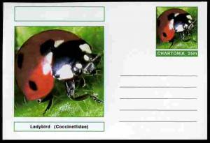 Chartonia (Fantasy) Insects - Ladybird (Coccinellidae) po...