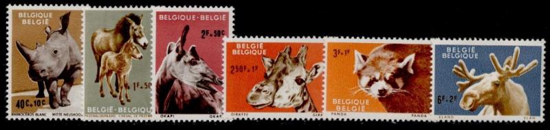 Belgium B690-5 MNH - Animals, Rhino, Horses, Giraffe, Elk, Lesser Panda