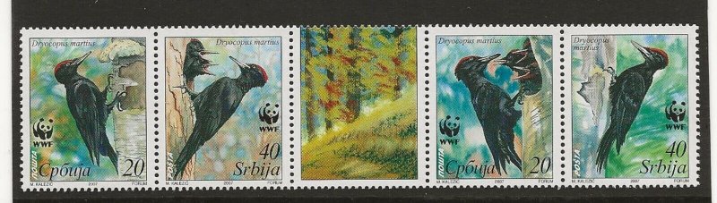 Thematic birds Serbia 2007 WWF Black Woodpecker srip of 4 + label sg.290-3 MNH 