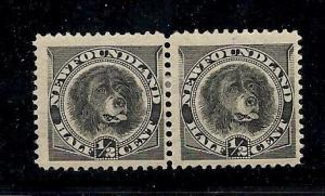 Newfoundland Dog #58 MH pair,  CV $18.00