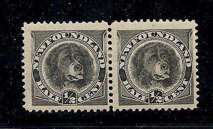 Newfoundland Dog #58 MH pair,  CV $18.00