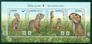Belarus 2015 WWF - Speckled Ground Squirrel MS MUH