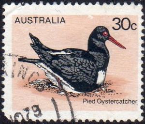 Australia 685 - Used - 30c ‭Pied Oystercatcher  (1978) (cv $0.35)
