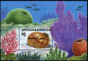 Barbuda #817 Cat$35, 1986 Shells souvenir sheet, never hinged
