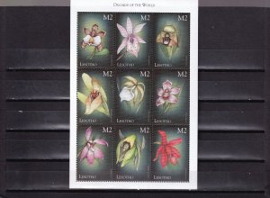 ER04 Lesotho 1999 Orchids MNH minisheet/stamps