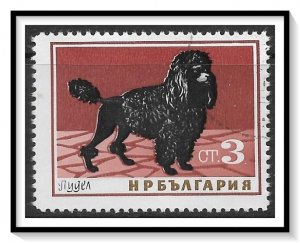 Bulgaria #1350 Poodle Dog CTO NH