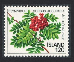 Iceland Year of the Tree 1980 MNH SG#588