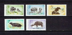 ALBANIA - 1965 WATER BUFFALO - SCOTT 796 TO 800 - MNH