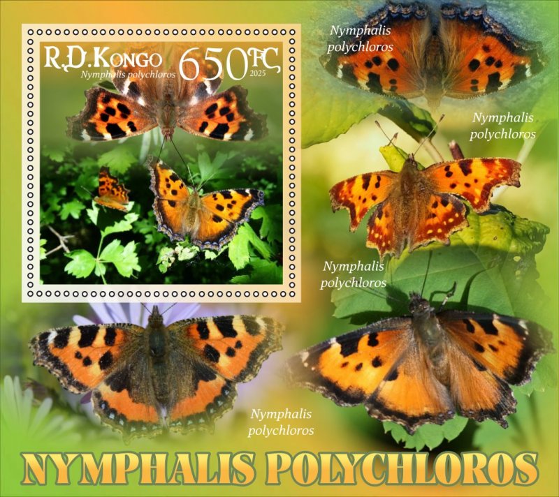 Stamps.Fauna, Butterflies  2025 year 8 sheets perforated