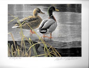 1985 Mallard 1St. Canada Duck Stamp signed  Print Signed Artist R.Bateman Folio