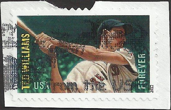 # 4694 USED TED WILLIAMS