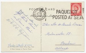 Postcard / Postmark GB / UK 1956 Paquebot - Holland America Line - SS Ryndam