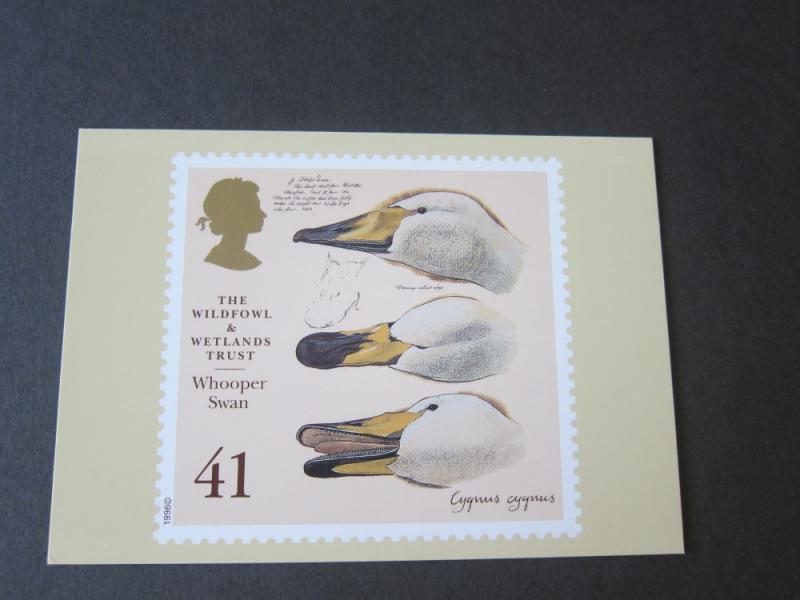 Great Britain 1996 Sc 1653-7 PC Bird set MNH