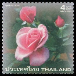 2003 - Thailand - Rose 2003 - Perfumed stamp