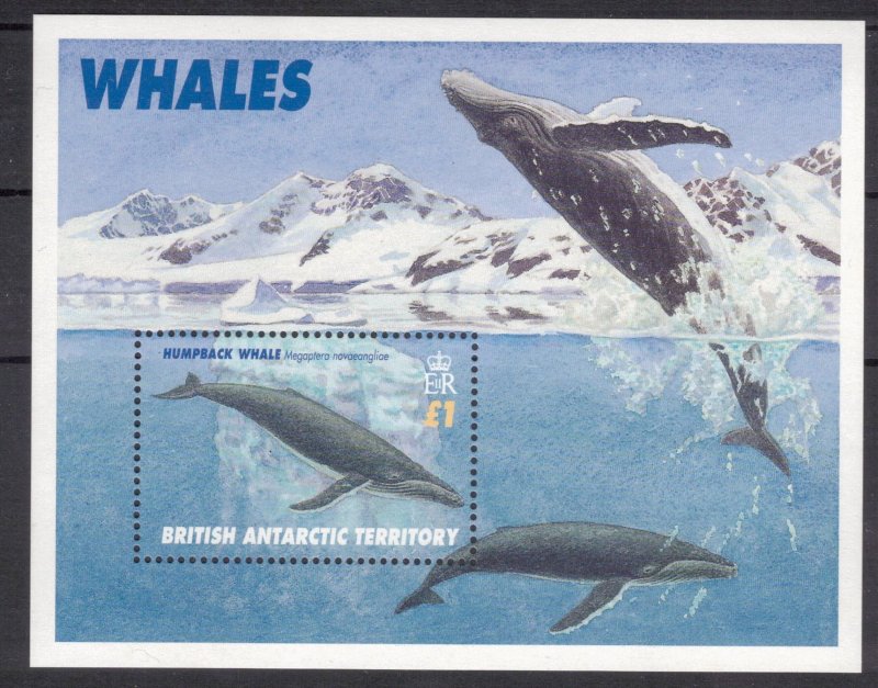 BRITISH ANTARCTIC 1996 Whales; Scott 244-48, SG 265-69; MNH