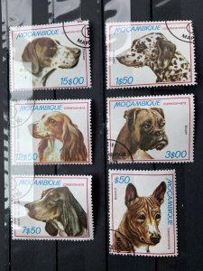 Mocambique Dog collection used set of 6