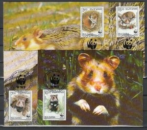 Bulgaria, Scott cat. 3831-3834. Hamsters, W.W.F. issue. 4 Max. Cards.