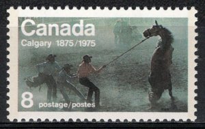Canada - Calgary, Alberta Centennial # 667 M/NH