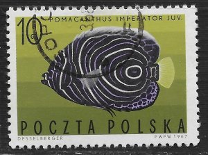 Poland #1493 10g Tropical Fish - Imperial Angelfish ~ CTO HR