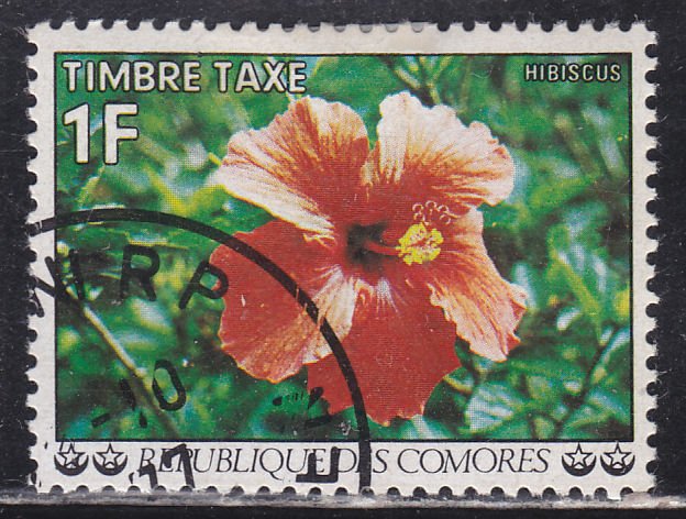 Comoro Islands J6 Flowers 1977