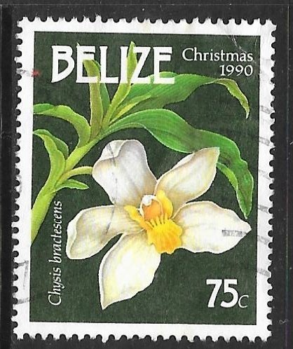 Belize 960: 75c Chysis bractescens, used, VF