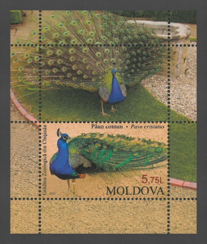 Moldova 2013 Birds Indian Peacock MNH Block 