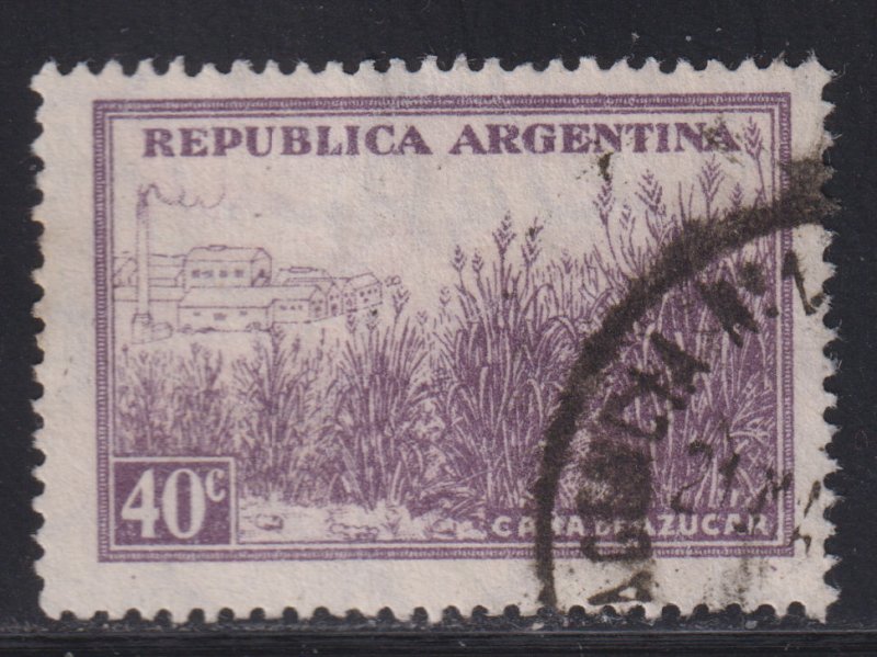 Argentina 443 Sugar Cane Plantation 1936