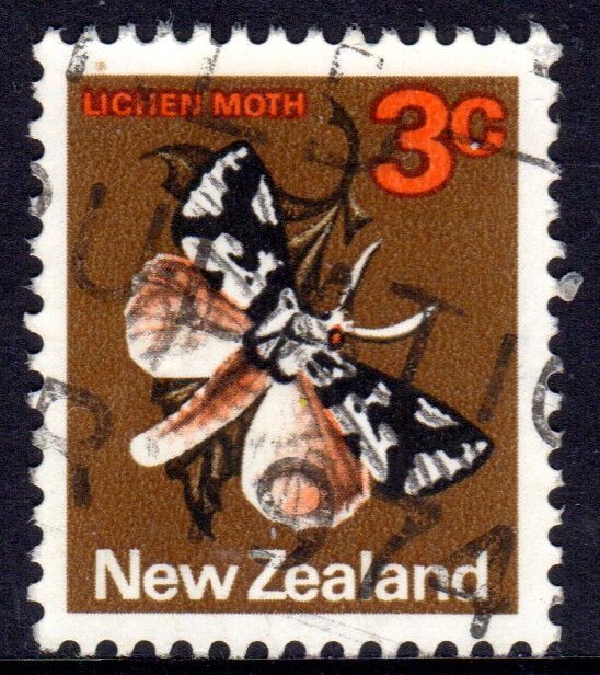 NEW ZEALAND CLEARANCE COMMON ISSUES.