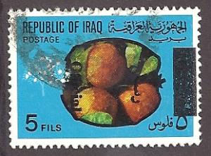 Iraq  Scott O240  Used