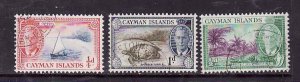 Cayman Is.-Sc#122-4-used low values of KGVI set-id7-Turtles-1950-