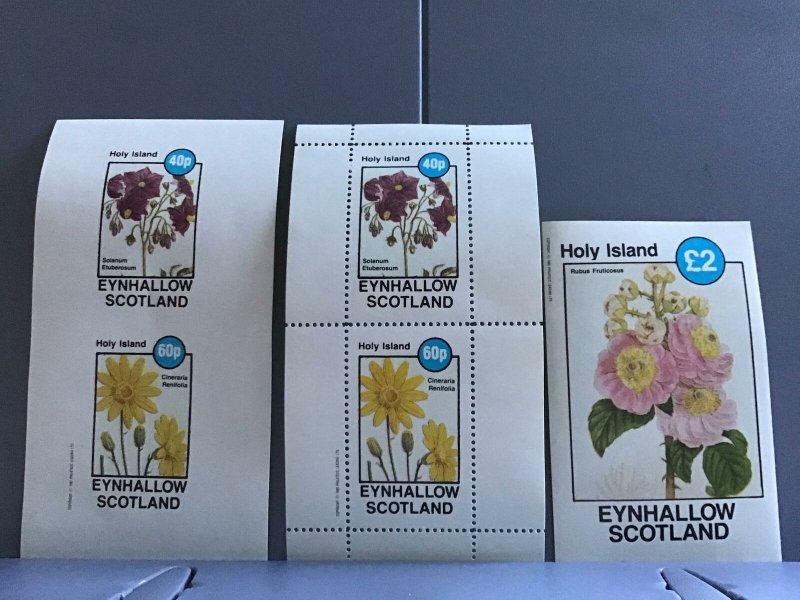 Holy Island   Scotland Flowers plants Cineraria Renifolia  MNH stamps  R24120