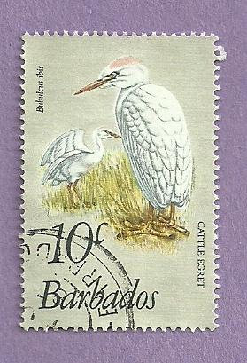 Barbados Used Stamp / Scott 499