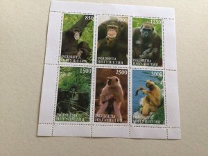 The Animal Kingdom stamp sheets Ref R49285